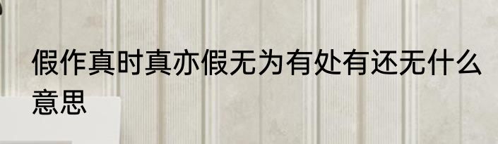 假作真时真亦假无为有处有还无什么意思