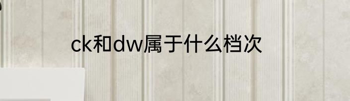 ck和dw属于什么档次