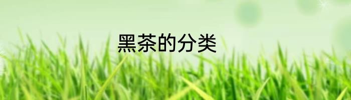 黑茶的分类