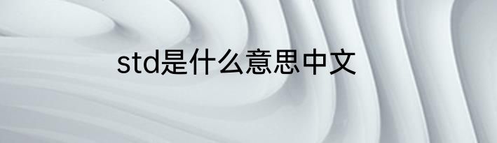 std是什么意思中文