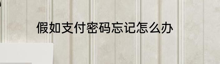 假如支付密码忘记怎么办