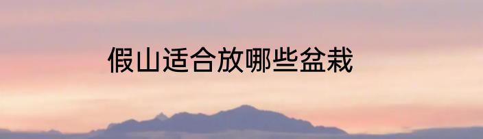 假山适合放哪些盆栽