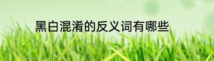 黑白混淆的反义词有哪些