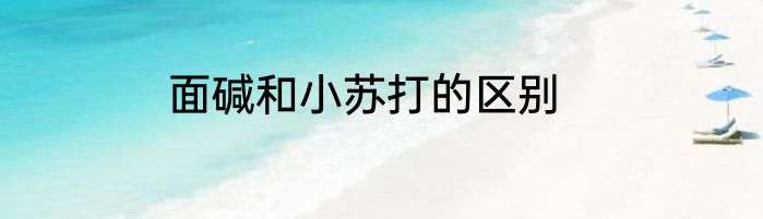 面碱和小苏打的区别