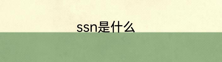 ssn是什么