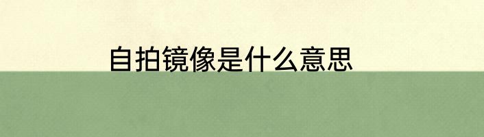 自拍镜像是什么意思