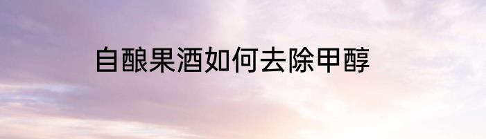 自酿果酒如何去除甲醇