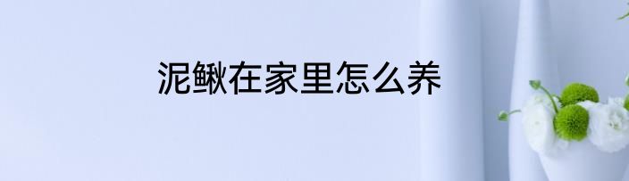 泥鳅在家里怎么养