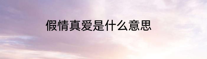 假情真爱是什么意思