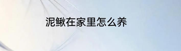 泥鳅在家里怎么养