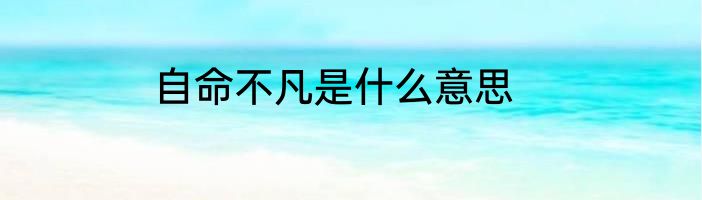 自命不凡是什么意思