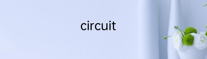 circuit