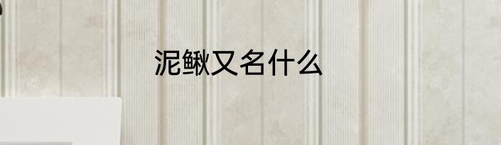 泥鳅又名什么