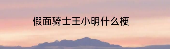 假面骑士王小明什么梗