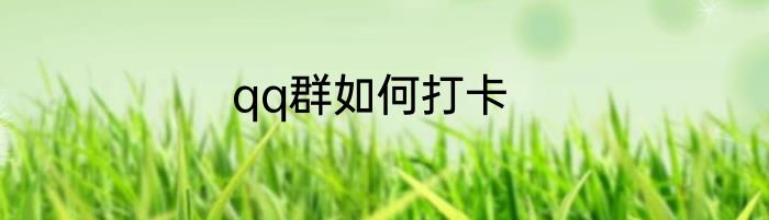 qq群如何打卡