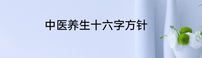 中医养生十六字方针