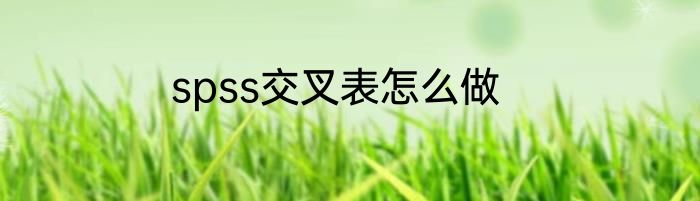spss交叉表怎么做