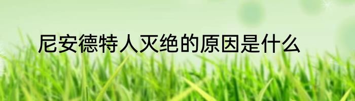 尼安德特人灭绝的原因是什么