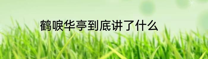 鹤唳华亭到底讲了什么