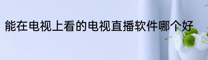 能在电视上看的电视直播软件哪个好