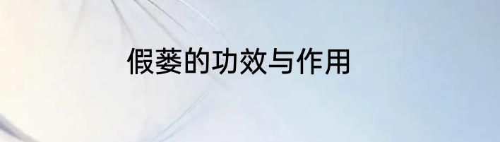 假蒌的功效与作用