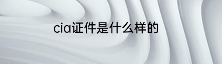 cia证件是什么样的
