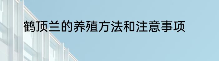 鹤顶兰的养殖方法和注意事项