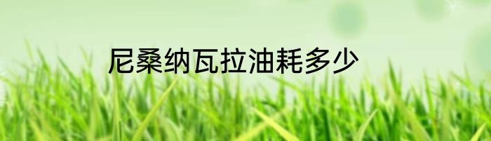尼桑纳瓦拉油耗多少
