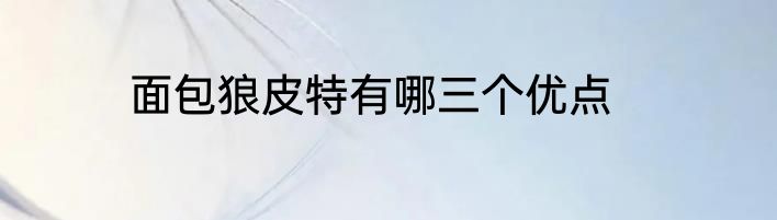 面包狼皮特有哪三个优点
