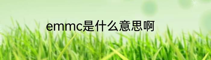 emmc是什么意思啊