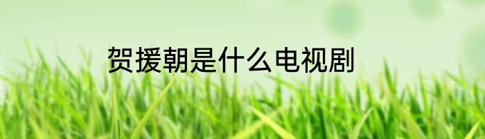 贺援朝是什么电视剧