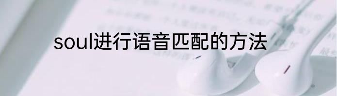 soul进行语音匹配的方法