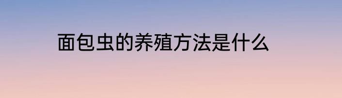 面包虫的养殖方法是什么