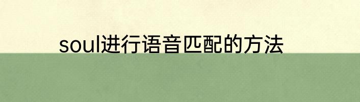 soul进行语音匹配的方法