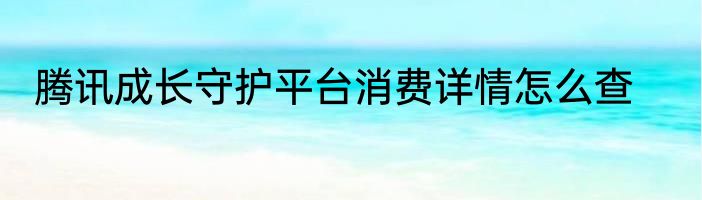 腾讯成长守护平台消费详情怎么查