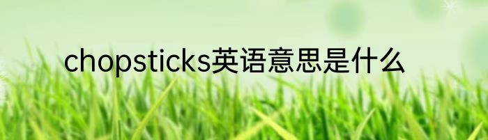 chopsticks英语意思是什么