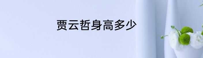 贾云哲身高多少