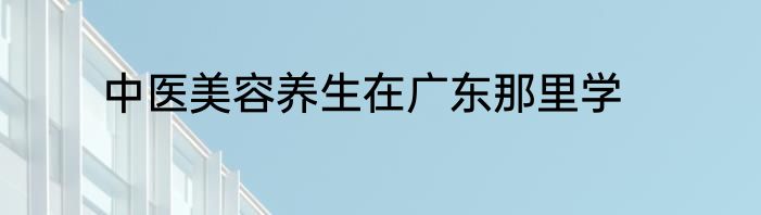 中医美容养生在广东那里学