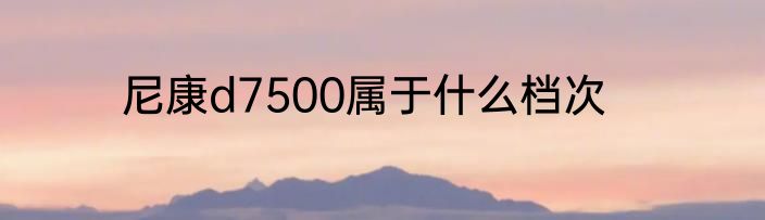 尼康d7500属于什么档次