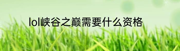 lol峡谷之巅需要什么资格