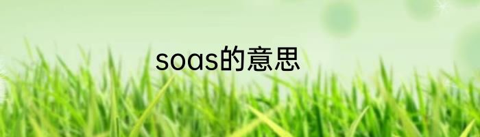 soas的意思