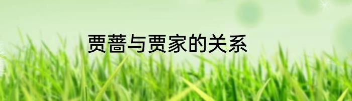 贾蔷与贾家的关系