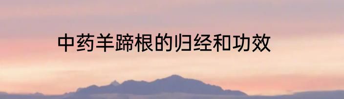 中药羊蹄根的归经和功效