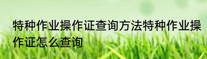 特种作业操作证查询方法特种作业操作证怎么查询