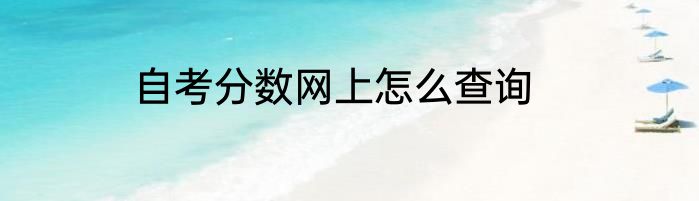 自考分数网上怎么查询