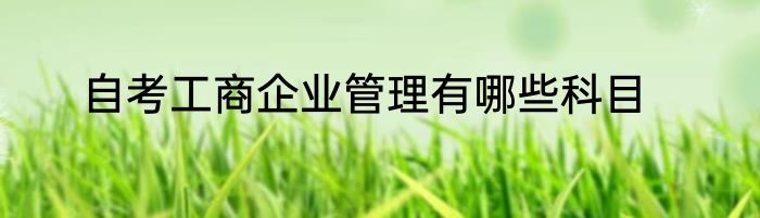 自考工商企业管理有哪些科目