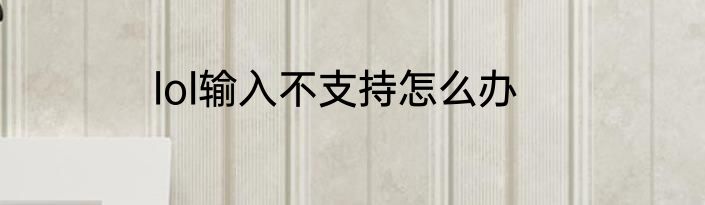 lol输入不支持怎么办