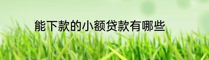 能下款的小额贷款有哪些