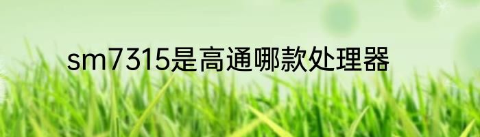 sm7315是高通哪款处理器
