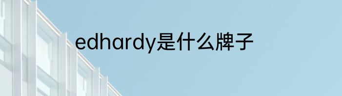 edhardy是什么牌子